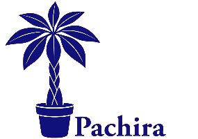Pachira